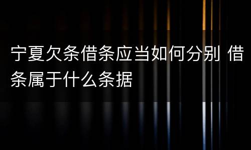 宁夏欠条借条应当如何分别 借条属于什么条据
