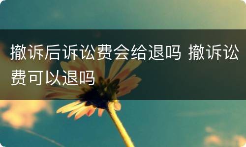 撤诉后诉讼费会给退吗 撤诉讼费可以退吗