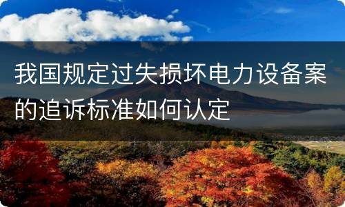 我国规定过失损坏电力设备案的追诉标准如何认定
