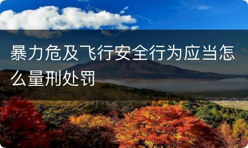 暴力危及飞行安全行为应当怎么量刑处罚