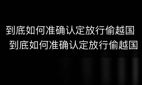 到底如何准确认定放行偷越国 到底如何准确认定放行偷越国货物