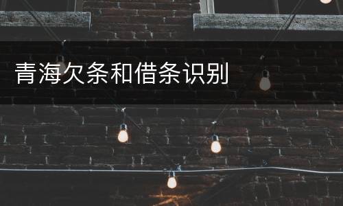青海欠条和借条识别