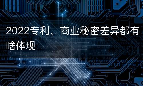 2022专利、商业秘密差异都有啥体现