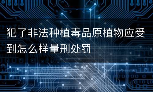 犯了非法种植毒品原植物应受到怎么样量刑处罚