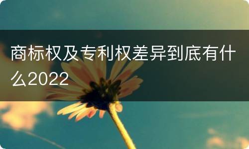 商标权及专利权差异到底有什么2022