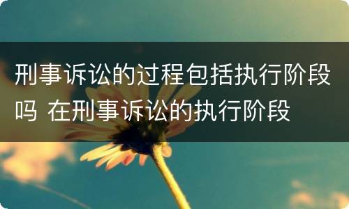 刑事诉讼的过程包括执行阶段吗 在刑事诉讼的执行阶段