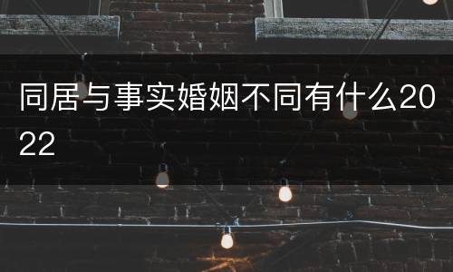 同居与事实婚姻不同有什么2022