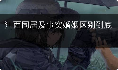 江西同居及事实婚姻区别到底