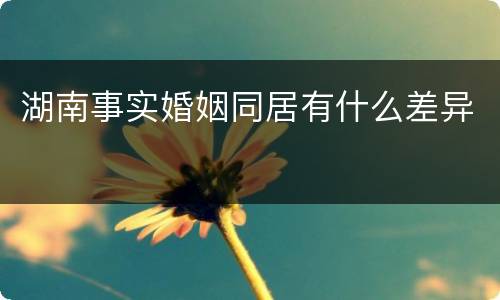 湖南事实婚姻同居有什么差异