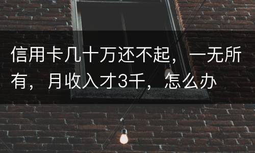信用卡几十万还不起，一无所有，月收入才3千，怎么办