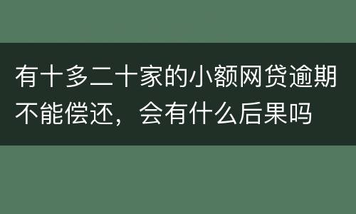 有十多二十家的小额网贷逾期不能偿还，会有什么后果吗