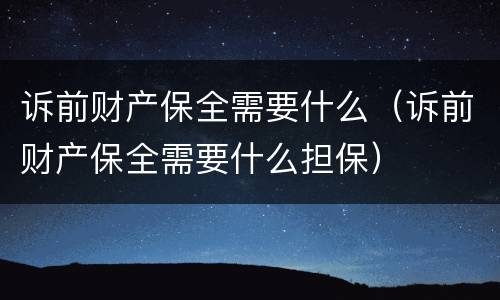 诉前财产保全需要什么（诉前财产保全需要什么担保）