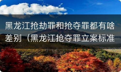 黑龙江抢劫罪和抢夺罪都有啥差别（黑龙江抢夺罪立案标准）