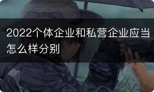 2022个体企业和私营企业应当怎么样分别