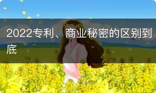 2022专利、商业秘密的区别到底