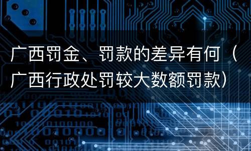 广西罚金、罚款的差异有何（广西行政处罚较大数额罚款）
