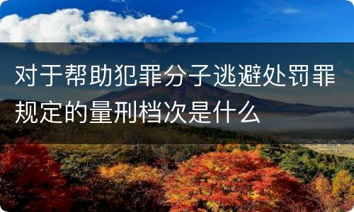 对于帮助犯罪分子逃避处罚罪规定的量刑档次是什么