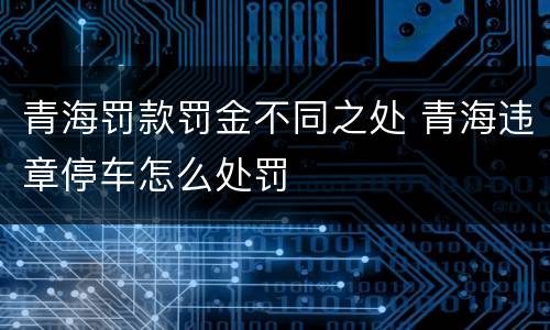 青海罚款罚金不同之处 青海违章停车怎么处罚