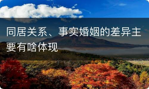 同居关系、事实婚姻的差异主要有啥体现