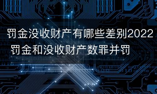 罚金没收财产有哪些差别2022 罚金和没收财产数罪并罚