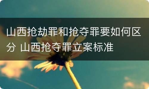 山西抢劫罪和抢夺罪要如何区分 山西抢夺罪立案标准