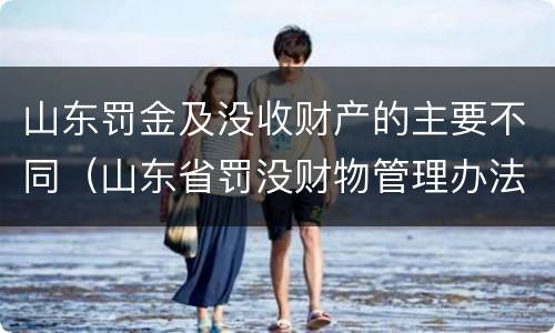 山东罚金及没收财产的主要不同（山东省罚没财物管理办法）
