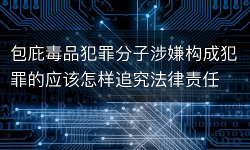 包庇毒品犯罪分子涉嫌构成犯罪的应该怎样追究法律责任