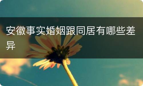 安徽事实婚姻跟同居有哪些差异