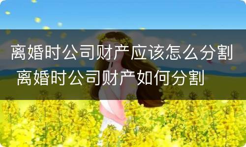 离婚时公司财产应该怎么分割 离婚时公司财产如何分割