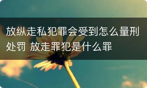 放纵走私犯罪会受到怎么量刑处罚 放走罪犯是什么罪