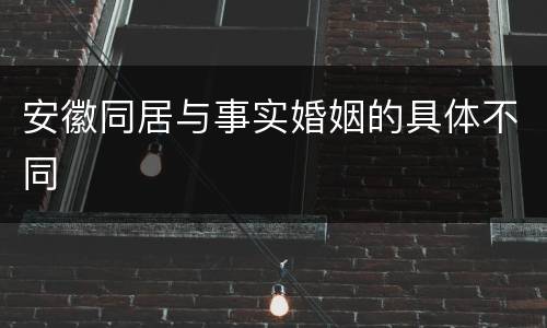 安徽同居与事实婚姻的具体不同