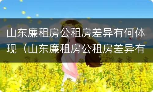 山东廉租房公租房差异有何体现（山东廉租房公租房差异有何体现和原因）