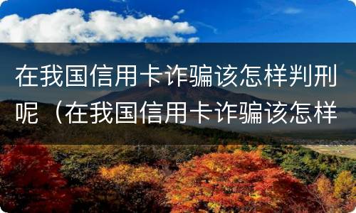 在我国信用卡诈骗该怎样判刑呢（在我国信用卡诈骗该怎样判刑呢视频）