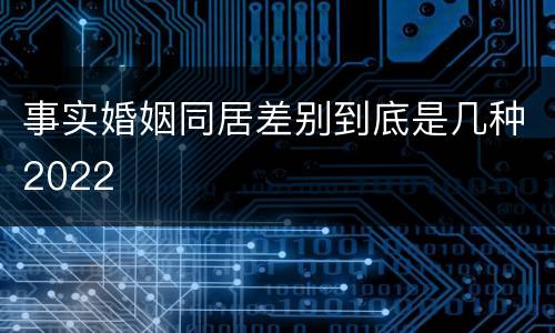 事实婚姻同居差别到底是几种2022