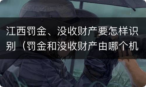 江西罚金、没收财产要怎样识别（罚金和没收财产由哪个机关执行）