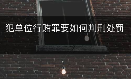 犯单位行贿罪要如何判刑处罚