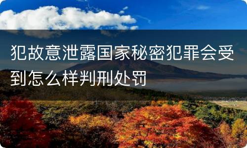 犯故意泄露国家秘密犯罪会受到怎么样判刑处罚
