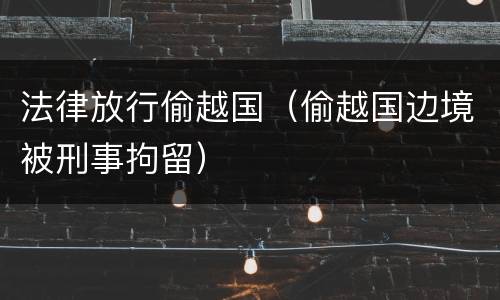 法律放行偷越国（偷越国边境被刑事拘留）