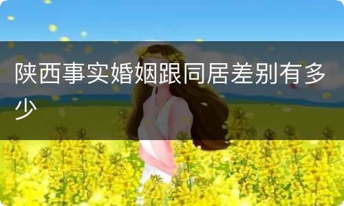 陕西事实婚姻跟同居差别有多少
