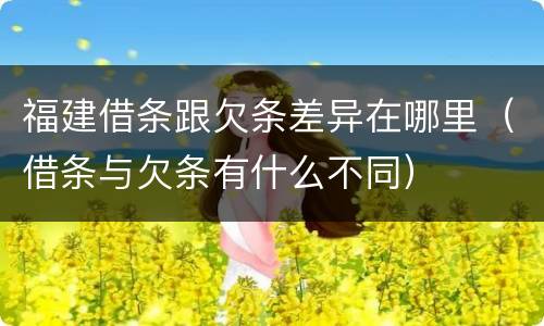 福建借条跟欠条差异在哪里（借条与欠条有什么不同）