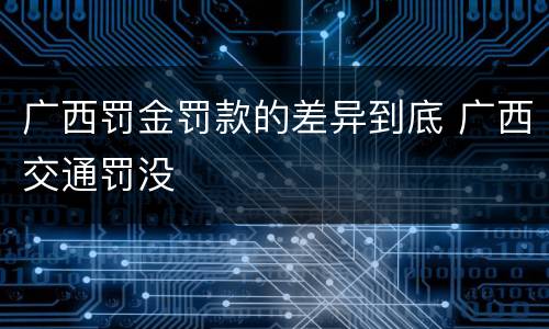 广西罚金罚款的差异到底 广西交通罚没