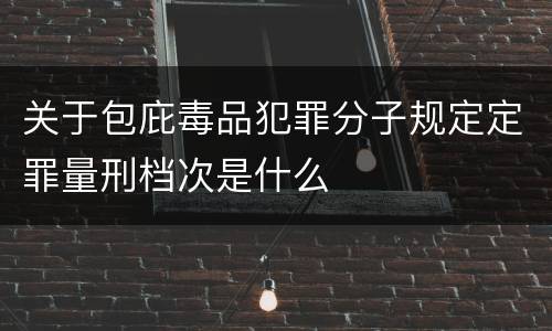 关于包庇毒品犯罪分子规定定罪量刑档次是什么