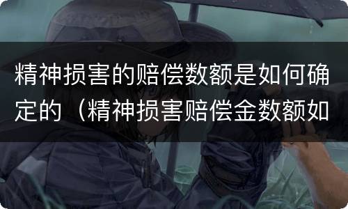 精神损害的赔偿数额是如何确定的（精神损害赔偿金数额如何确定）