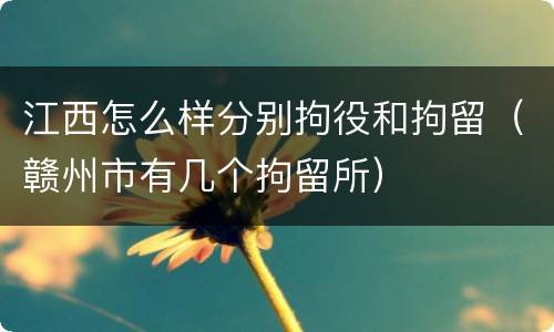 江西怎么样分别拘役和拘留（赣州市有几个拘留所）