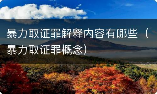 暴力取证罪解释内容有哪些（暴力取证罪概念）