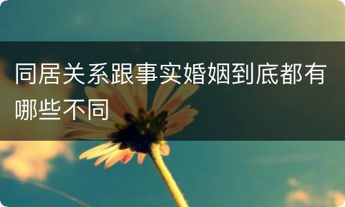 同居关系跟事实婚姻到底都有哪些不同