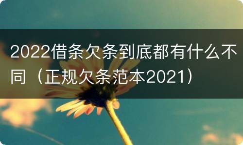 2022借条欠条到底都有什么不同（正规欠条范本2021）