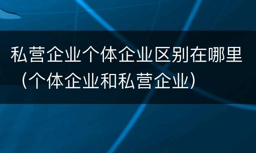 私营企业个体企业区别在哪里（个体企业和私营企业）