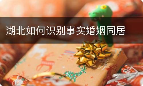 湖北如何识别事实婚姻同居