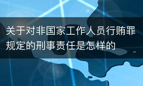 关于对非国家工作人员行贿罪规定的刑事责任是怎样的